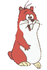 Quenotte